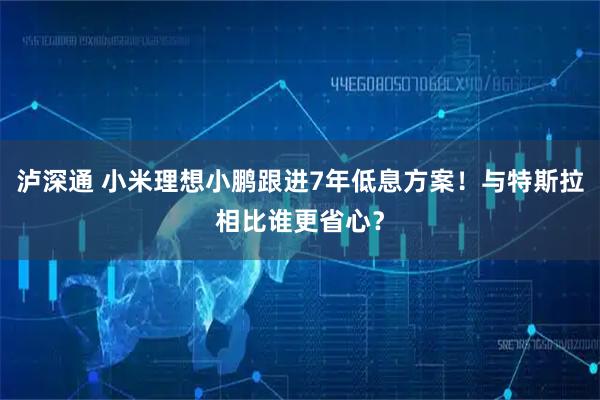 泸深通 小米理想小鹏跟进7年低息方案！与特斯拉相比谁更省心？